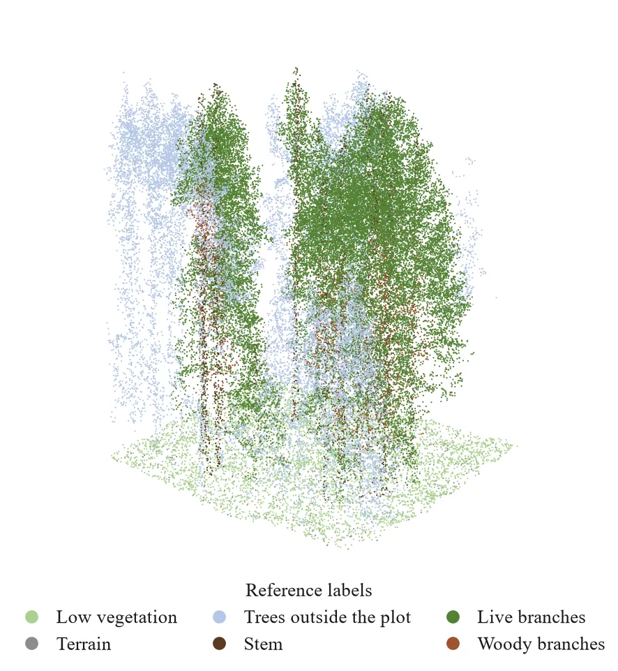 Point cloud sample from FOR-instance