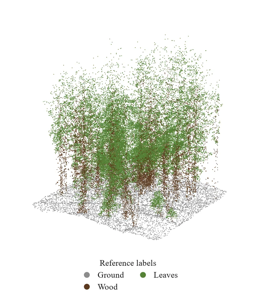 Point cloud sample from FOR-instanceV2
