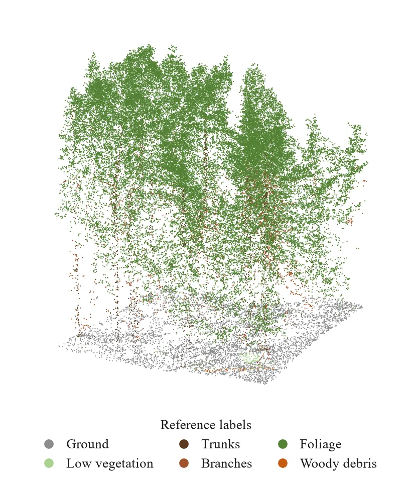 Point cloud sample from ForestSemantic-MS