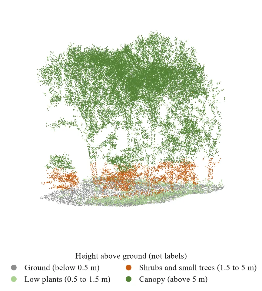 Point cloud sample from Wytham Woods TLS