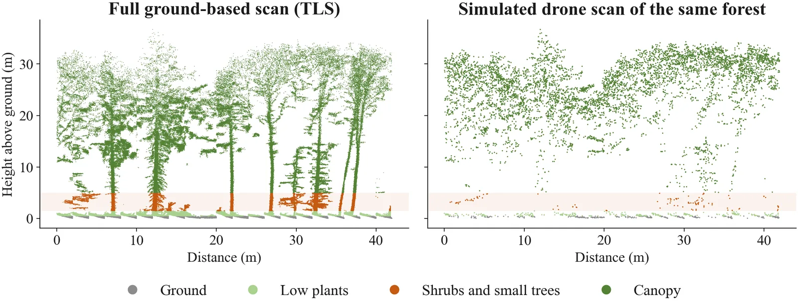 The same strip of forest as a full ground-based laser scan and as a simulated drone scan; shrub and small-tree returns are dense in the first and almost absent in the second