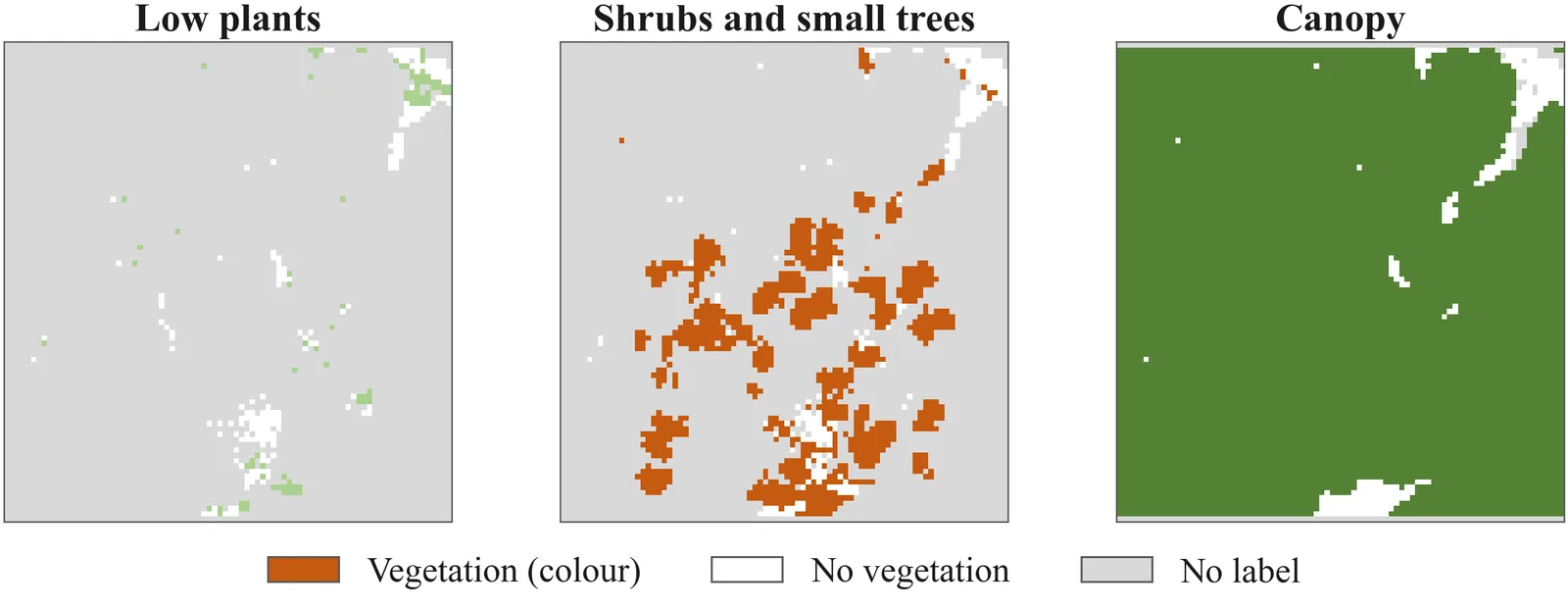 Three raster maps of one plot for low plants, shrubs and small trees, and canopy; grey cells carry no label
