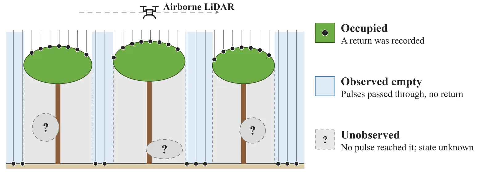 Diagram of airborne LiDAR pulses over three trees, marking occupied crowns, observed-empty gaps between crowns and unobserved regions beneath them