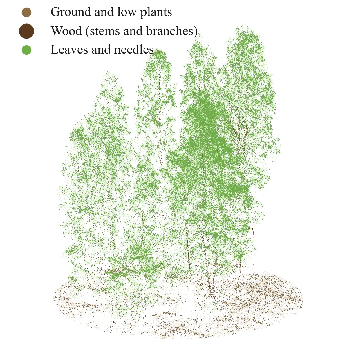 A forest plot point cloud coloured by class: ground and low plants in light brown, wood in dark brown, leaves and needles in green