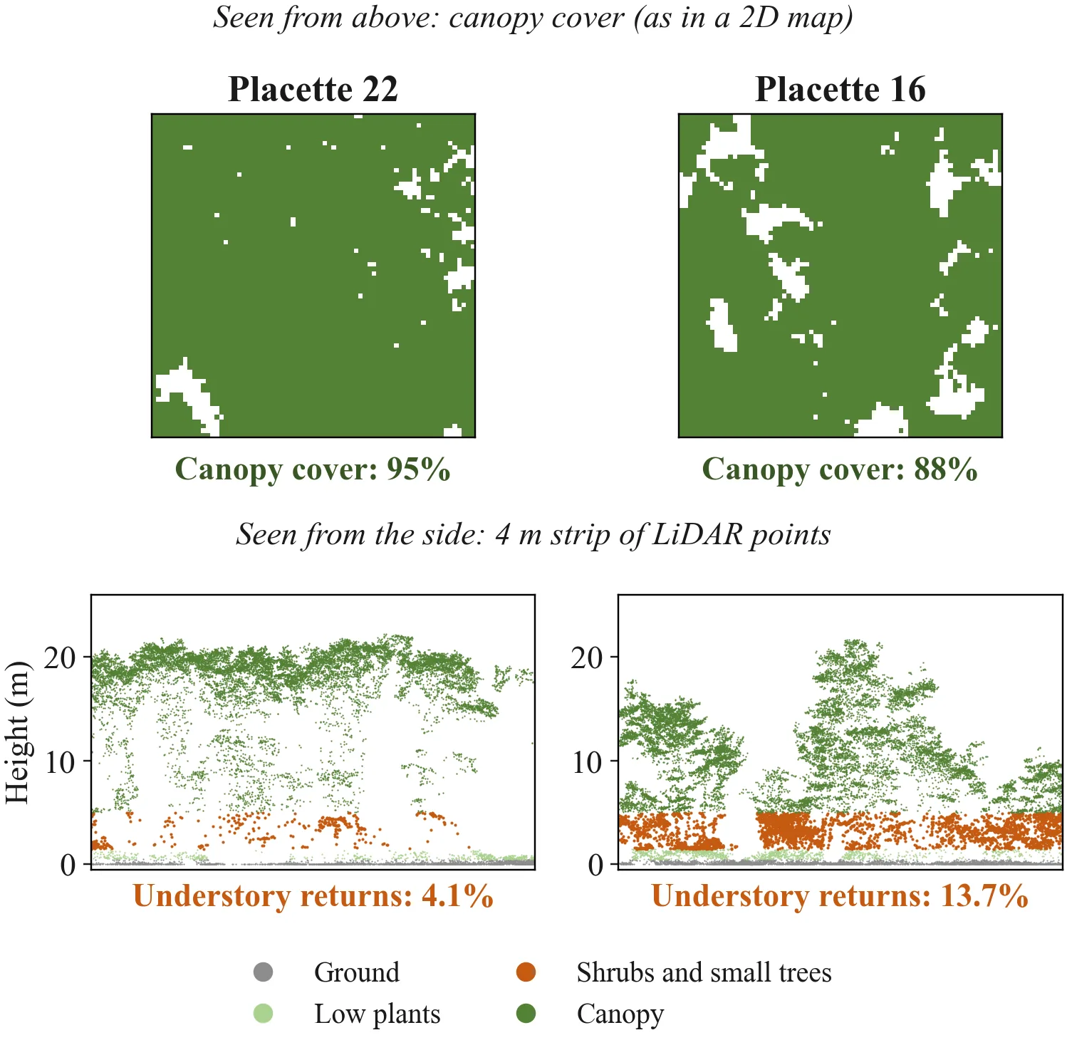 Two WildForest3D plots that look alike from above (canopy cover 95% and 88%) but differ from the side: shrubs and small trees give 4.1% and 13.7% of the LiDAR returns.